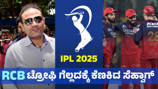 Virender Sehwag Mocks RCB s Top Spot in IPL 2025 Fans React Strongly