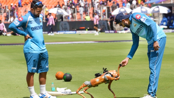 BCCI Faces Legal Trouble Over Naming IPL 2025 AI Robot Dog Champak