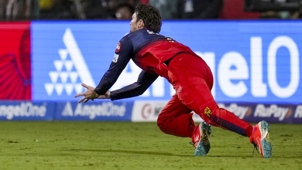 Will RCB Find the Right Replacement as Tim David Faces Injury Scare Will RCB Find the Right Replacement as Tim David Faces Injury Scare