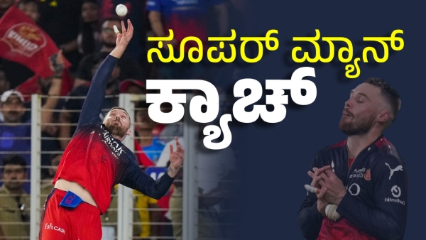 Phil Salt s Sensational Catch Gives RCB Crucial Breakthrough in IPL Final