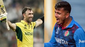  World Cup 2023: മുജീബ് കാട്ടിയത് മാപ്പില്ലാത്ത തെറ്റ്, അഫ്ഗാനെ തോല്‍പ്പിച്ചു! രൂക്ഷ വിമര്‍ശനം