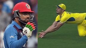   World Cup 2023: അത് ക്യാച്ചല്ലേ? എന്നിട്ടും റാഷിദ് നോട്ടൗട്ട്! തേര്‍ഡ് അംപയര്‍ പണികൊടുത്തു- വിവാദം