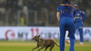    IPL 2024: വഴങ്ങിയത് 30 റണ്‍സ്, നേടിയത് 11 റണ്‍സ്! ക്യാപ്റ്റനാണ് വില്ലന്‍! തോറ്റത് ആ പിഴവില്‍