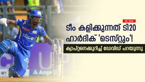 IPL 2024: സ്‌ട്രൈക്ക് റേറ്റ് 138, ബൗളിങുമില്ല; ഹാര്‍ദിക്കിന്റെ റോളെന്ത്? തുറന്നു പറഞ്ഞ് ഡേവിഡ്