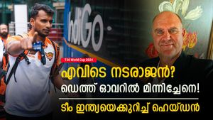 T20 World Cup 2024: സൂര്യയും ബുംറയുമല്ല, ഇന്ത്യന്‍ തുറുപ്പുചീട്ട് അവന്‍! ഹെയ്ഡന്‍ പറയുന്നു