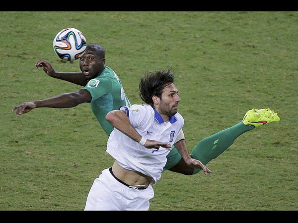 പാവം കൊമ്പന്മാര്‍