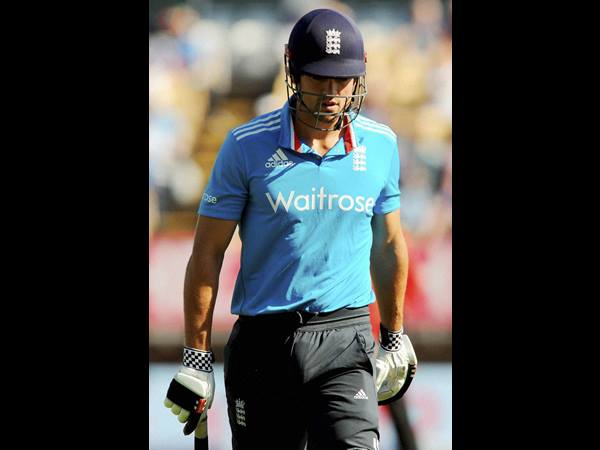 പാവം കുക്ക്