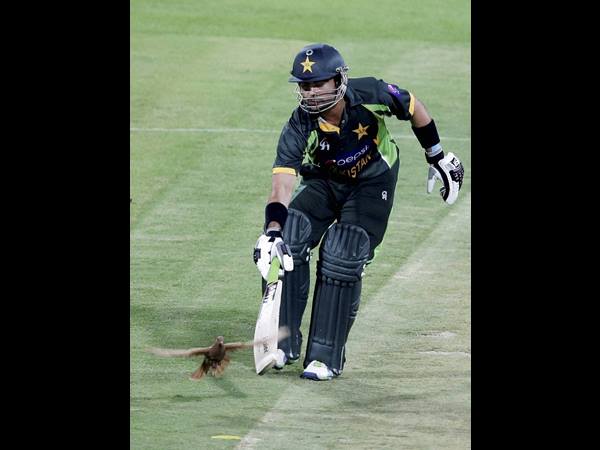 ബുദ്ധിസ്റ്റ് രീതിയാണ്