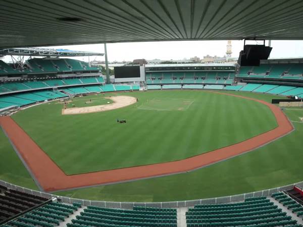 കളി ക്രിക്കറ്റ് ഗ്രൗണ്ടിലല്ല!