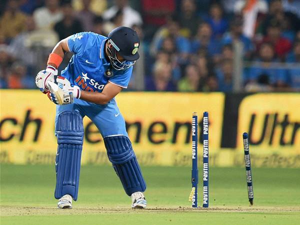 റെയ്‌ന കൊതുകിനെ എണ്ണുന്നു