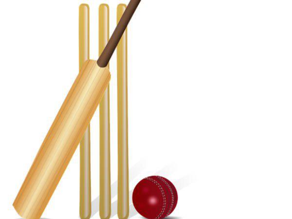 cricket1 cricket1