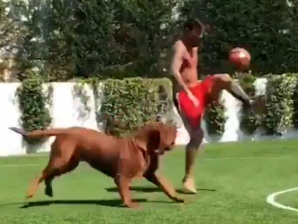 ഹള്‍ക്കിനെ വട്ടം കറക്കി