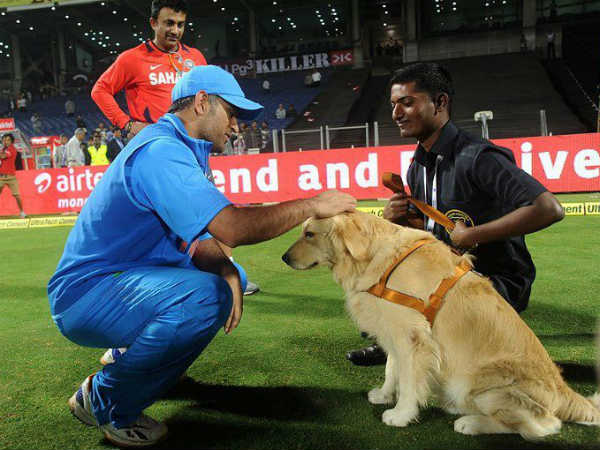 നായ സ്‌നേഹി