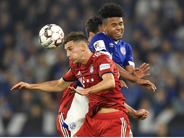 ബയേണ്‍ 2- ഷാല്‍ക്കെ 0; ഡോട്മുണ്ട് 1- ഹൊഫെന്‍ഹെയിം 1