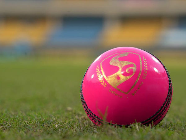 1. പിങ്ക് പന്ത്