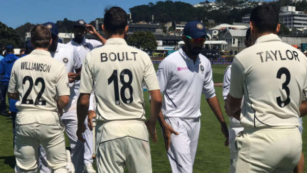 കിവികളുടെ പ്ലാനിങ്