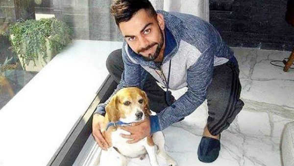 വിരാട് കോലി