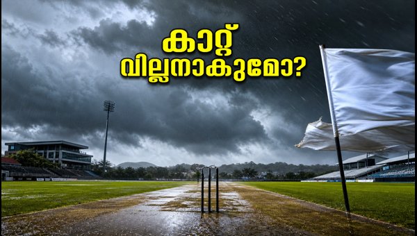 India vs New Zealand 3rd T20: Wellington Weather and Pitch Report 2026