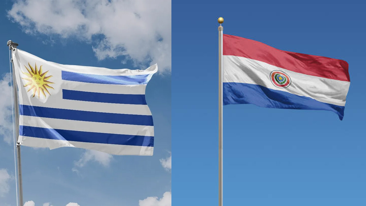 Argentina To Uruguay: Last 5 Winners Of The Copa America Football Tournament