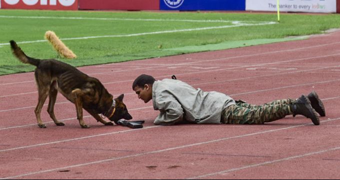 Sports Images of The Day (1 August 2026)