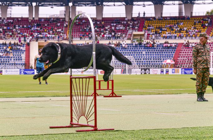 Sports Images of The Day (1 August 2026)
