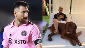 Messi: இத்தனை லட்சமா.. மெஸ்ஸியின் வளர்ப்பு நாய் ”ஹல்க்” தொடக்க விலை என்ன? அப்படி என்ன ஸ்பெஷல்? Messi: இத்தனை லட்சமா.. மெஸ்ஸியின் வளர்ப்பு நாய் ”ஹல்க்” தொடக்க விலை என்ன? அப்படி என்ன ஸ்பெஷல்?