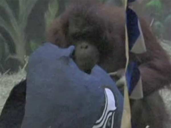 7வது முறை....