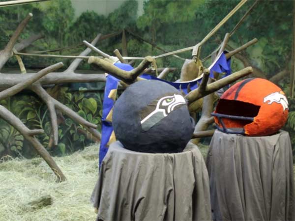 பேப்பர் ஹெல்மெட்டுகள்....