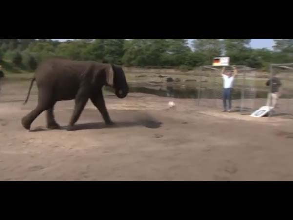 கணிப்பது இப்படித்தான்..