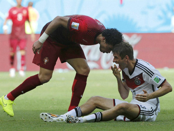 ஆட்டு கிடா சண்டை