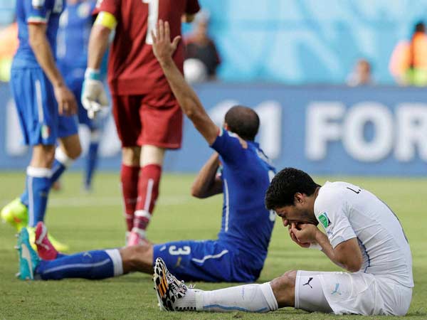 கடி ஒரு தொடர் கதை..