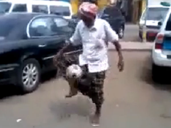 கலக்கல் தாத்தா