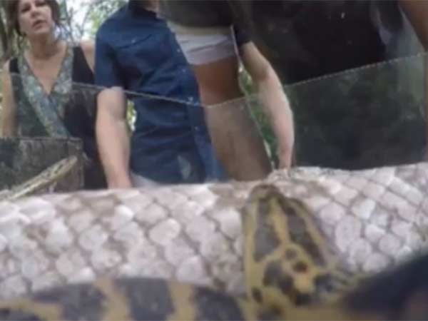 விஷம் இல்லை