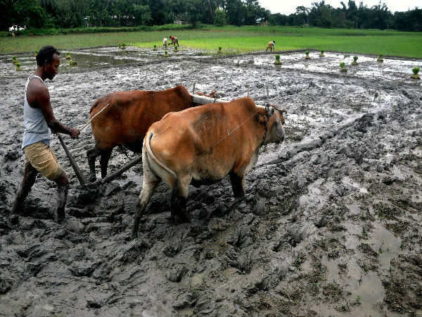 90 லட்சம் விவசாயிகள் பாதிப்பு