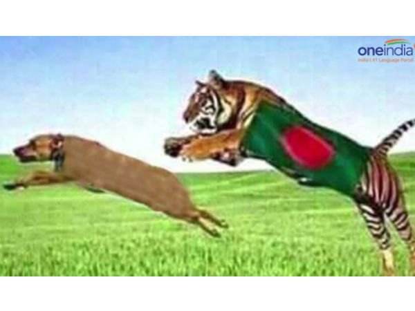 நாயை துரத்தும் புலி 