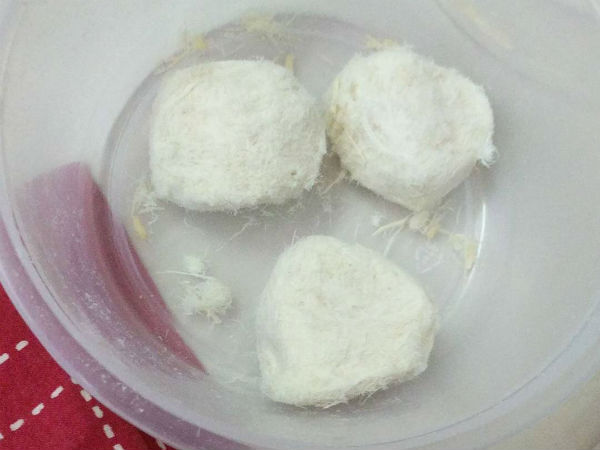 கொள்ளை பிரியம் 