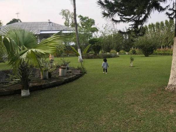 பசுமைக்கு முக்கியம் 