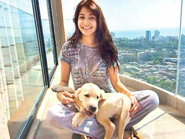 கடைசியா உண்மையா? இல்லையா? கடைசியா உண்மையா? இல்லையா?