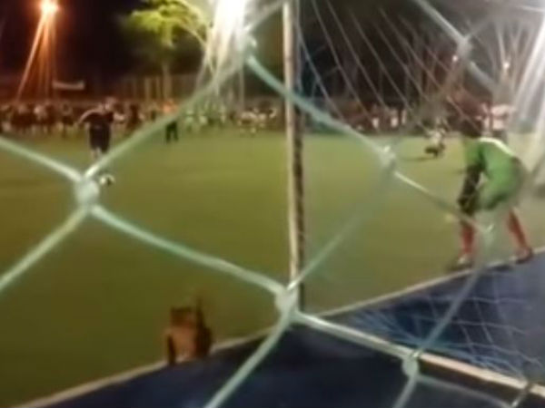 மைதானத்தின் உள்ளே வந்த நாய்