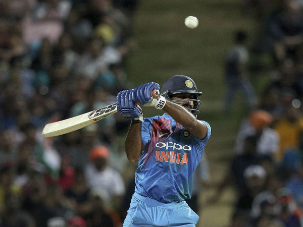 நியூசிலாந்தில் கலக்கல்