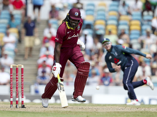 கிறிஸ் கெயில் அரைசதம் கிறிஸ் கெயில் அரைசதம்