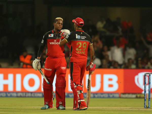 ரஷித் வீசிய பந்து ரஷித் வீசிய பந்து