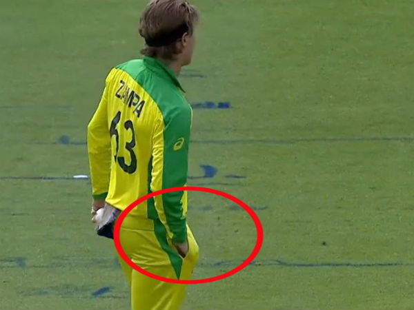 ரசிகர்கள் பகிர்ந்தனர் 