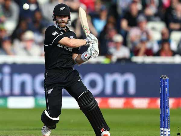 சரிபாதி உரிமை 