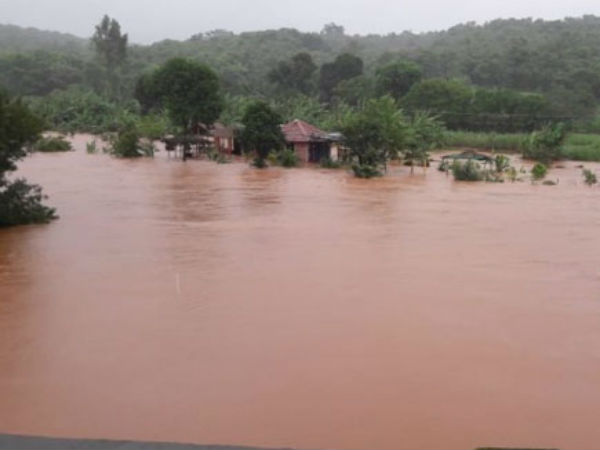 2.5 கிமீ நீச்சல் 