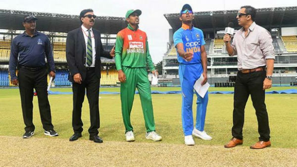 அது என்ன குட்டிப் புலி?