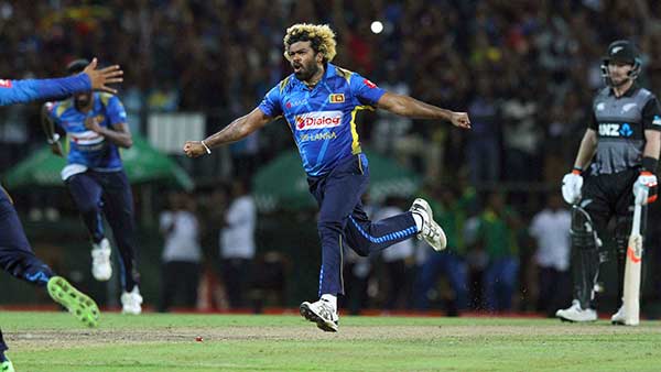 டி20 தொடர்