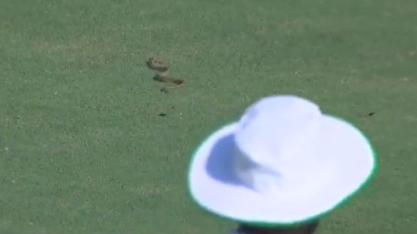  ஆந்திரா -விதர்பா அணிகள் மோதல் 