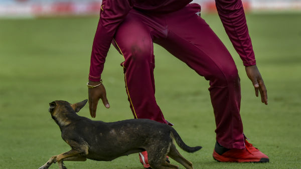 காரணம் யார்?