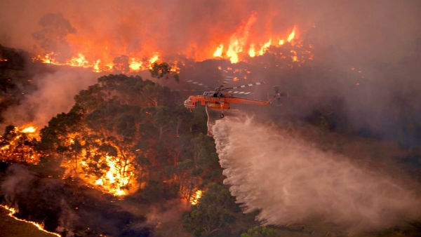 அபாயமான காற்றின் தரம் 